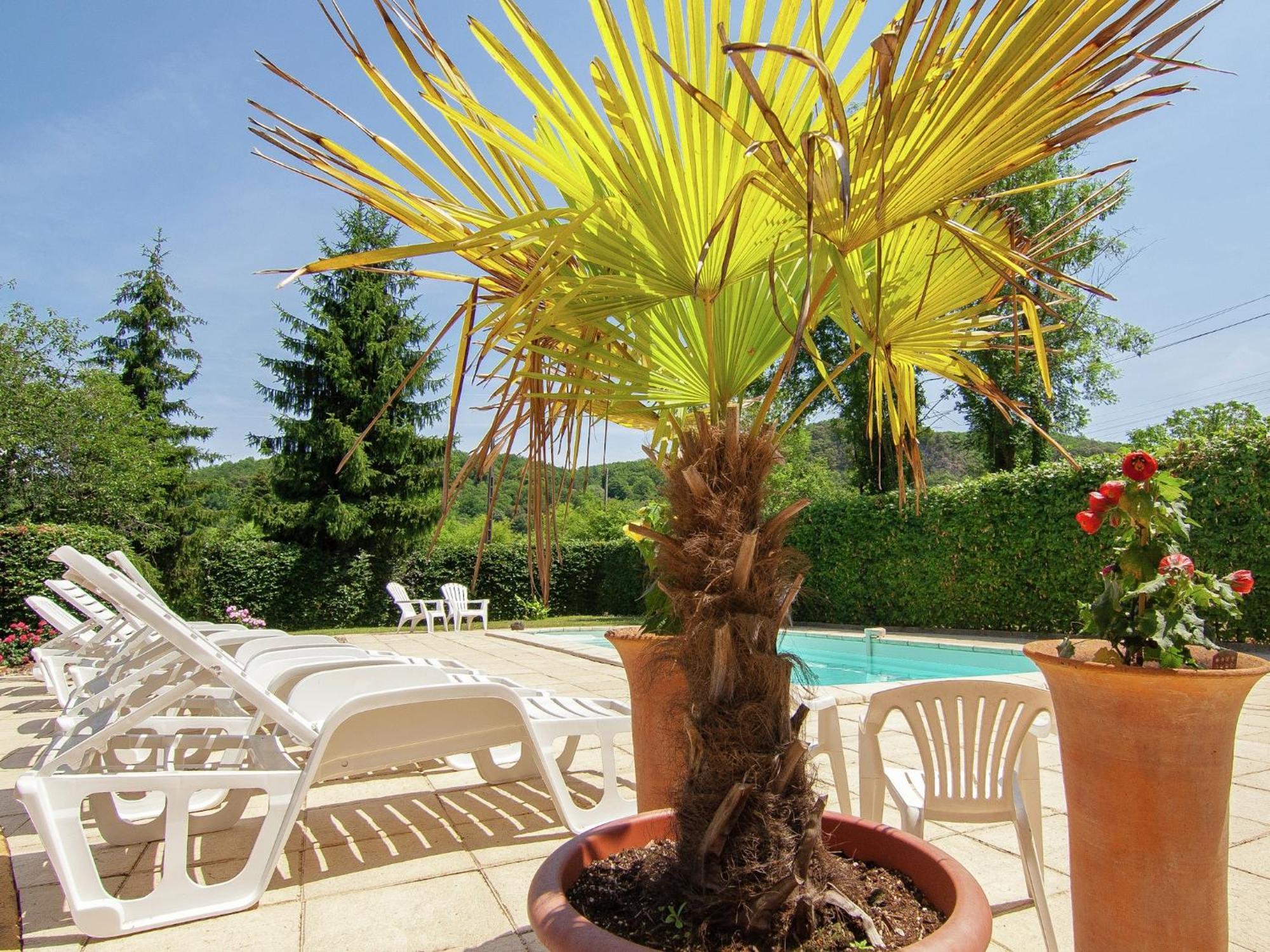 Appealing Apartment In Vezac With Swimming Pool Beynac-et-Cazenac Esterno foto